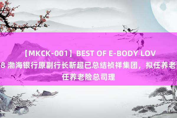 【MKCK-001】BEST OF E-BODY LOVERS 2008 渤海银行原副行长靳超已总结祯祥集团，拟任养老险总司理