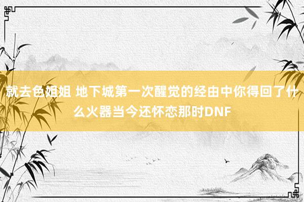 就去色姐姐 地下城第一次醒觉的经由中你得回了什么火器当今还怀恋那时DNF