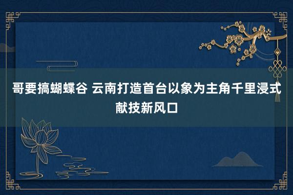 哥要搞蝴蝶谷 云南打造首台以象为主角千里浸式献技新风口