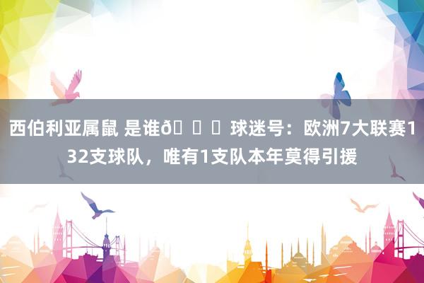 西伯利亚属鼠 是谁?球迷号：欧洲7大联赛132支球队，唯有1支队本年莫得引援