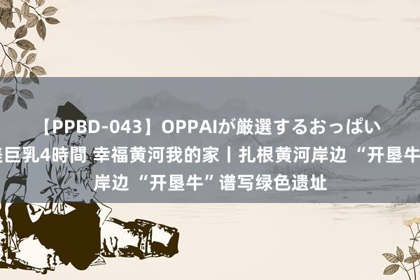 【PPBD-043】OPPAIが厳選するおっぱい 綺麗で敏感な美巨乳4時間 幸福黄河我的家丨扎根黄河岸边 “开垦牛”谱写绿色遗址