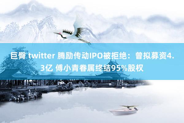 巨臀 twitter 腾励传动IPO被拒绝：曾拟募资4.3亿 傅小青眷属终结95%股权