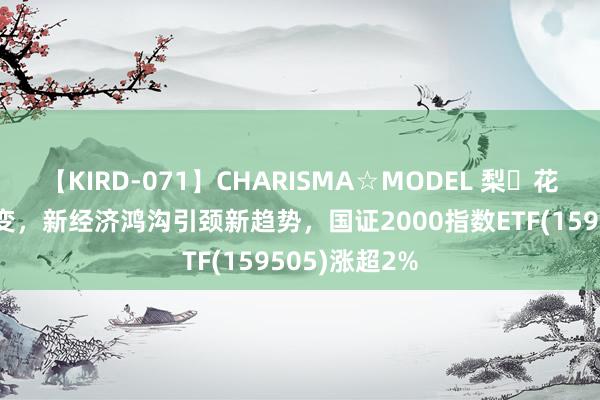 【KIRD-071】CHARISMA☆MODEL 梨々花 市集轮动多变，新经济鸿沟引颈新趋势，国证2000指数ETF(159505)涨超2%