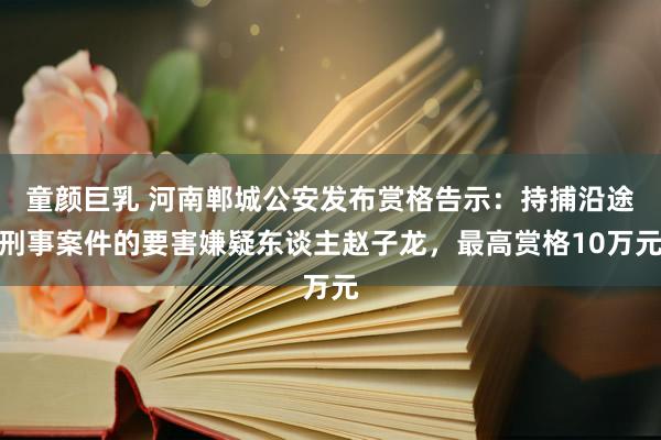 童颜巨乳 河南郸城公安发布赏格告示：持捕沿途刑事案件的要害嫌疑东谈主赵子龙，最高赏格10万元