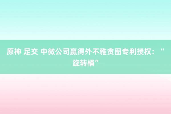 原神 足交 中微公司赢得外不雅贪图专利授权：“旋转桶”