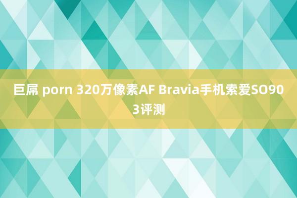 巨屌 porn 320万像素AF Bravia手机索爱SO903评测