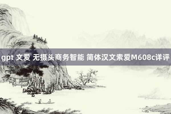 gpt 文爱 无摄头商务智能 简体汉文索爱M608c详评