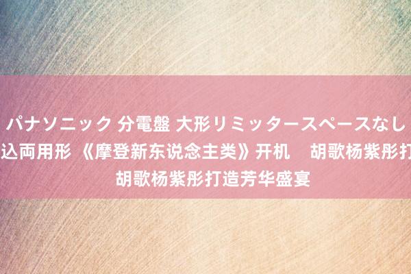 パナソニック 分電盤 大形リミッタースペースなし 露出・半埋込両用形 《摩登新东说念主类》开机    胡歌杨紫彤打造芳华盛宴