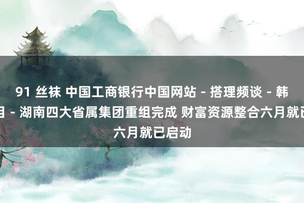 91 丝袜 中国工商银行中国网站－搭理频谈－韩迅栏目－湖南四大省属集团重组完成 财富资源整合六月就已启动